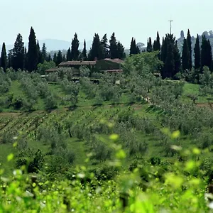 Fattoria Casa Sola Landhaus Barberino di Val dʼElsa